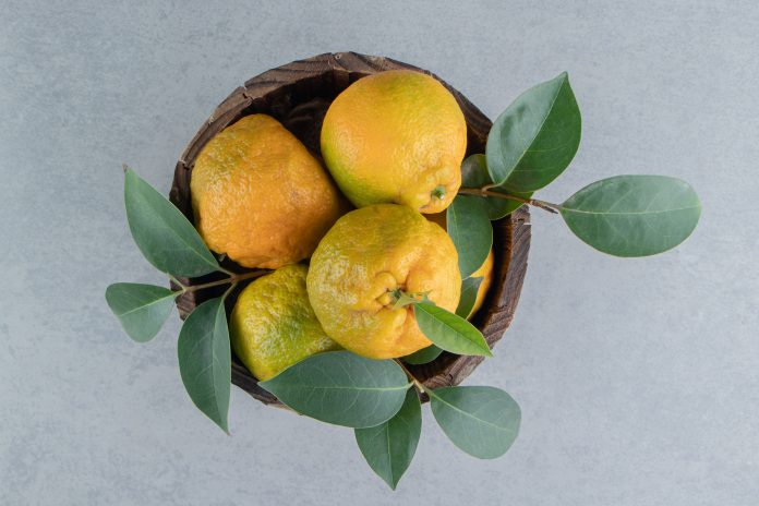 A wooden bucket filled with tangerines and leaves on marble background