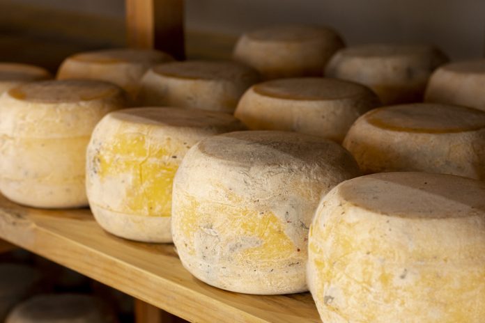 close-up-matured-cheese-wheels