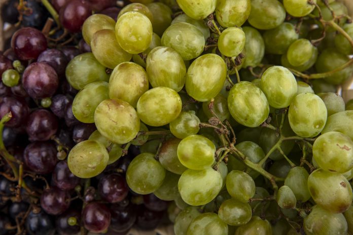 close-up view of black and white grapes for background uses