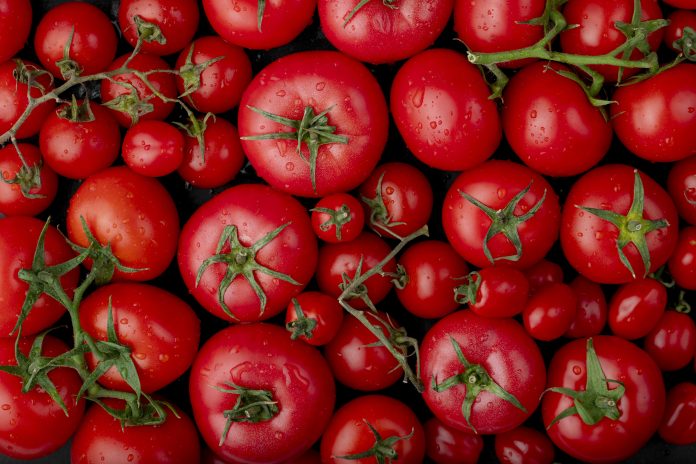 top view of ripe fresh tomatoes with water drops on black background